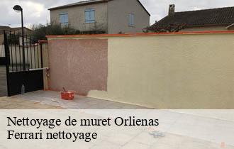 Nettoyage de muret  orlienas-69530 Ferrari nettoyage