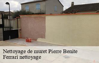 Nettoyage de muret  pierre-benite-69310 Ferrari nettoyage