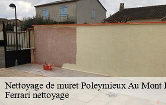Nettoyage de muret  poleymieux-au-mont-d-or-69250 Ferrari nettoyage