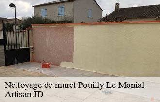Nettoyage de muret pouilly-le-monial-69400 Artisan JD