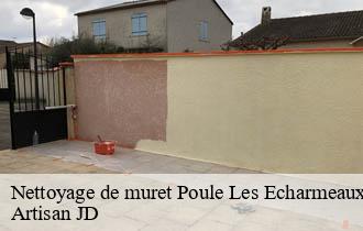 Nettoyage de muret  poule-les-echarmeaux-69870 Artisan JD