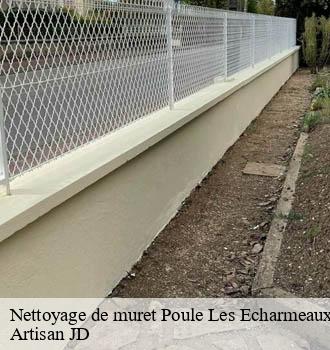Nettoyage de muret  poule-les-echarmeaux-69870 Artisan JD