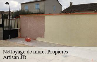 Nettoyage de muret  propieres-69790 Artisan JD