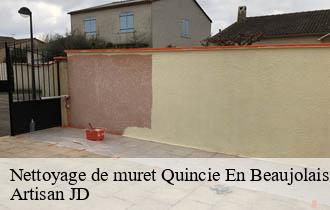 Nettoyage de muret quincie-en-beaujolais-69430 Artisan JD