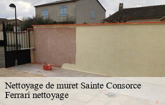 Nettoyage de muret  sainte-consorce-69280 Ferrari nettoyage
