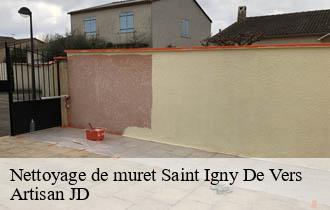 Nettoyage de muret saint-igny-de-vers-69790 Artisan JD