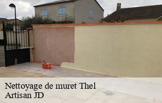 Nettoyage de muret thel-69470 Artisan JD