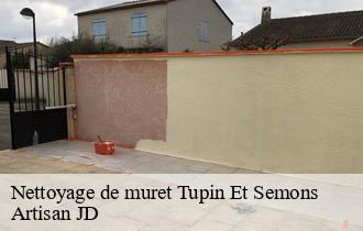 Nettoyage de muret tupin-et-semons-69420 Artisan JD