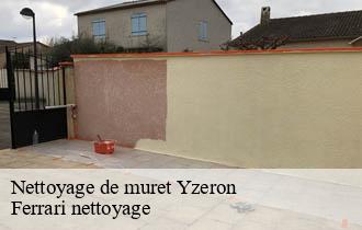 Nettoyage de muret  yzeron-69510 Ferrari nettoyage