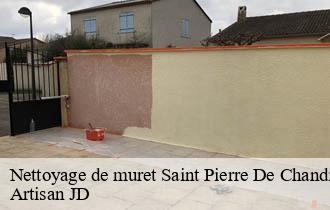 Nettoyage de muret saint-pierre-de-chandieu-69780 Artisan JD