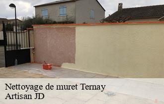 Nettoyage de muret  ternay-69360 Artisan JD