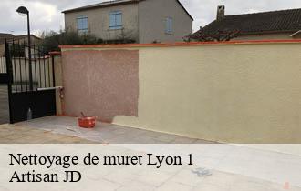 Nettoyage de muret lyon-1-69001 Artisan JD