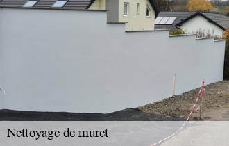 Nettoyage de muret  dorieu-69550 Ferrari nettoyage