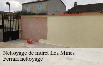 Nettoyage de muret  les-mines-69650 Ferrari nettoyage
