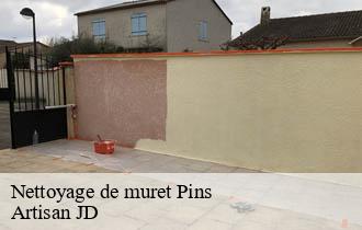 Nettoyage de muret pins-69440 Artisan JD