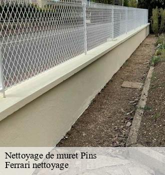 Nettoyage de muret  pins-69440 Ferrari nettoyage