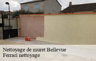 Nettoyage de muret  bellevue-69440 Ferrari nettoyage