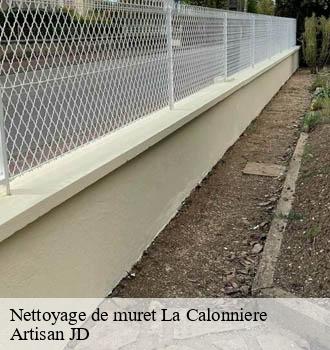 Nettoyage de muret la-calonniere-69690 Artisan JD