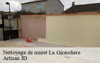 Nettoyage de muret  la-giraudiere-69690 Artisan JD