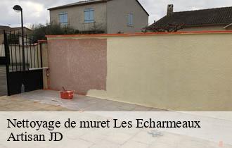 Nettoyage de muret les-echarmeaux-69870 Artisan JD