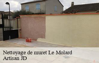 Nettoyage de muret le-molard-69430 Artisan JD