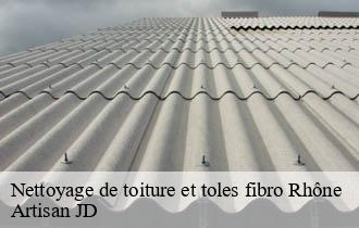 Nettoyage de toiture et toles fibro 69 Rhône  Artisan JD