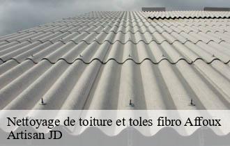 Nettoyage de toiture et toles fibro affoux-69170 Artisan JD