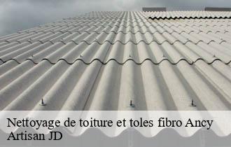 Nettoyage de toiture et toles fibro ancy-69490 Artisan JD
