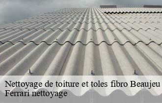Nettoyage de toiture et toles fibro  beaujeu-69430 Ferrari nettoyage