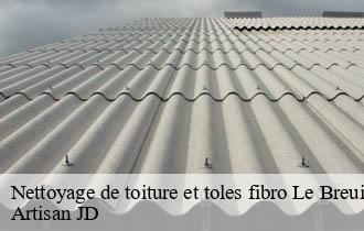 Nettoyage de toiture et toles fibro le-breuil-69620 Artisan JD