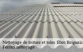 Nettoyage de toiture et toles fibro  brignais-69530 Ferrari nettoyage