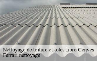 Nettoyage de toiture et toles fibro  cenves-69840 Ferrari nettoyage