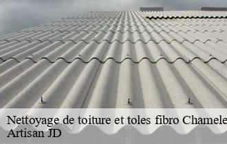 Nettoyage de toiture et toles fibro chamelet-69620 Artisan JD