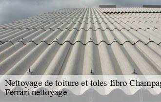 Nettoyage de toiture et toles fibro  champagne-au-mont-d-or-69410 Ferrari nettoyage