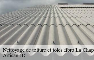 Nettoyage de toiture et toles fibro la-chapelle-de-mardore-69240 Artisan JD
