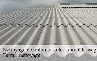 Nettoyage de toiture et toles fibro  chassagny-69700 Ferrari nettoyage