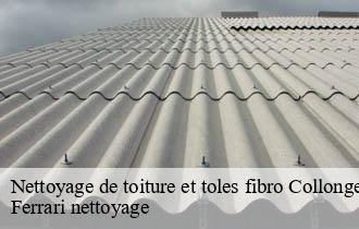 Nettoyage de toiture et toles fibro  collonges-au-mont-d-or-69660 Ferrari nettoyage