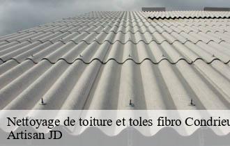Nettoyage de toiture et toles fibro condrieu-69420 Artisan JD