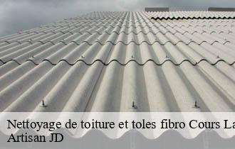 Nettoyage de toiture et toles fibro cours-la-ville-69470 Artisan JD