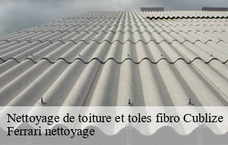 Nettoyage de toiture et toles fibro  cublize-69550 Ferrari nettoyage