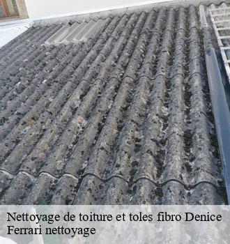 Nettoyage de toiture et toles fibro  denice-69640 Ferrari nettoyage