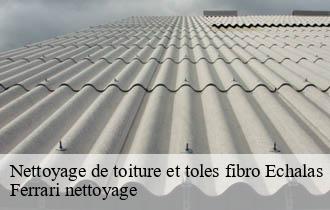 Nettoyage de toiture et toles fibro  echalas-69700 Ferrari nettoyage