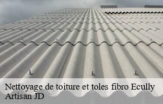 Nettoyage de toiture et toles fibro ecully-69130 Artisan JD