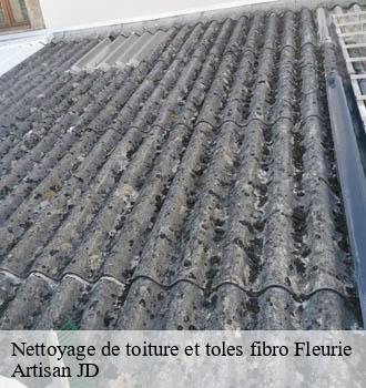 Nettoyage de toiture et toles fibro fleurie-69820 Artisan JD