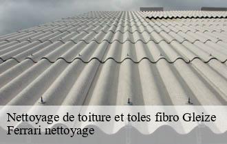 Nettoyage de toiture et toles fibro  gleize-69400 Ferrari nettoyage