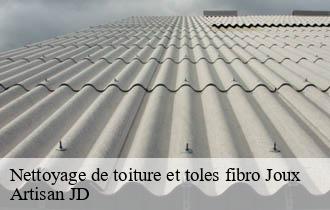 Nettoyage de toiture et toles fibro joux-69170 Artisan JD