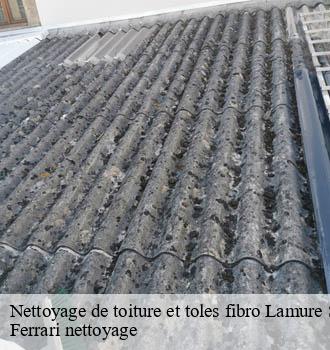 Nettoyage de toiture et toles fibro  lamure-sur-azergues-69870 Ferrari nettoyage