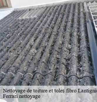 Nettoyage de toiture et toles fibro  lantignie-69430 Ferrari nettoyage