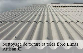 Nettoyage de toiture et toles fibro limas-69400 Artisan JD