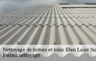 Nettoyage de toiture et toles fibro  loire-sur-rhone-69700 Ferrari nettoyage